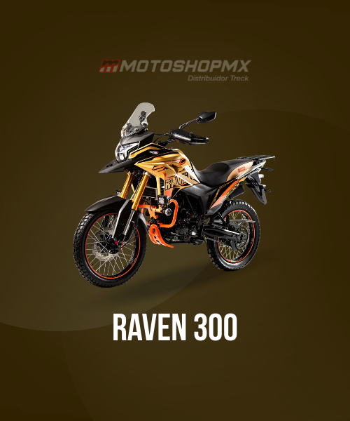 Raven 300