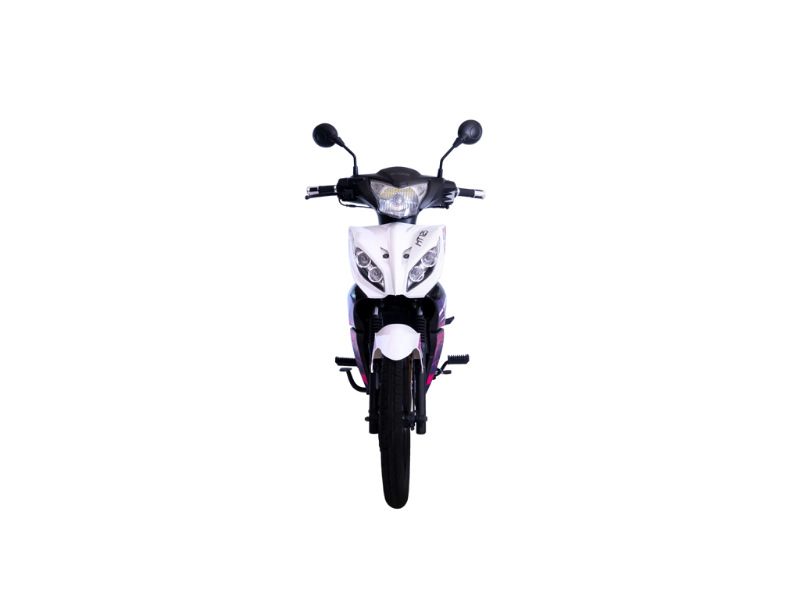 Treck Motors - MT 125 2