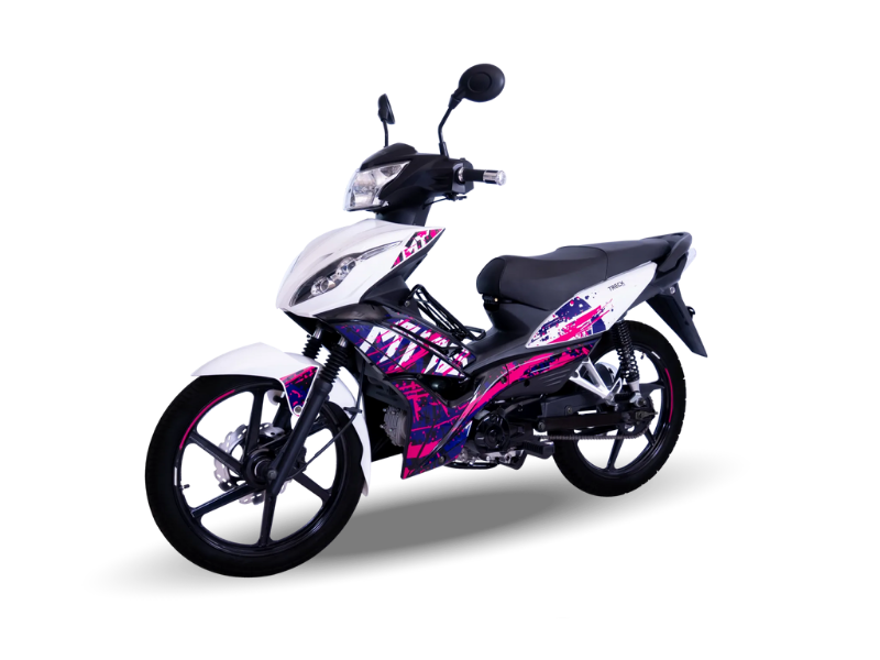 Treck Motors - MT 125 3