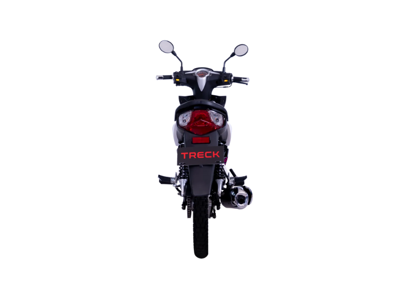 Treck Motors - MT 125 4